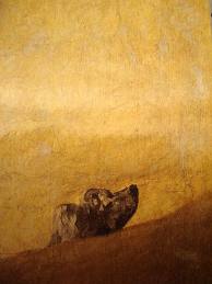 7.Detail of Francisco Goya, The Dog, 1819–1823, Oil mural on plaster transferred to canvas, 131.5 cm × 79.3 cm, Museo del Prado, Madrid